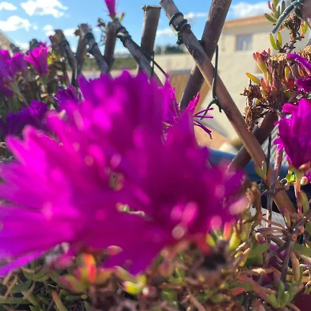 Sol Mediterraneo *